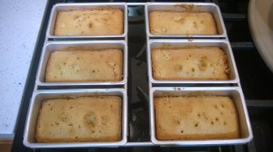 WP_20141118_16_07_45_Pro