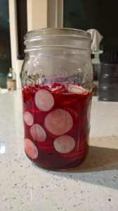 WP_20160312_19_13_25_Rich_LI