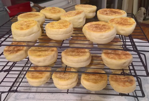 wp_20161128_20_26_58_rich_li-3