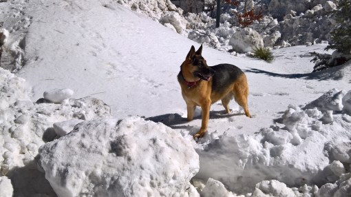 WP_20170127_11_55_59_Rich_LI (2)