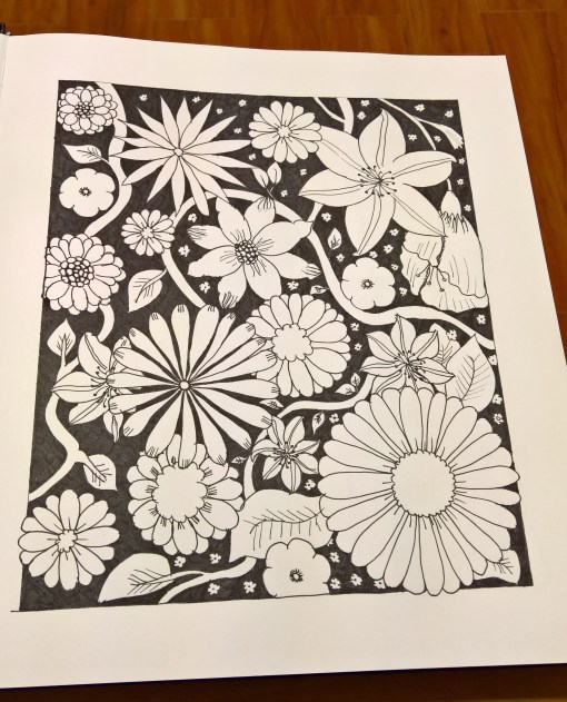 WP_20160124_21_33_13_Rich_LI (2)